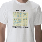 Одежда из бактерий