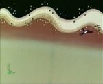      ,    2