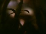        3.  , ! 6