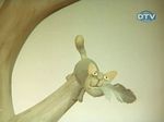    ,   4