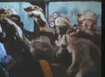      9 3