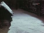    - 6