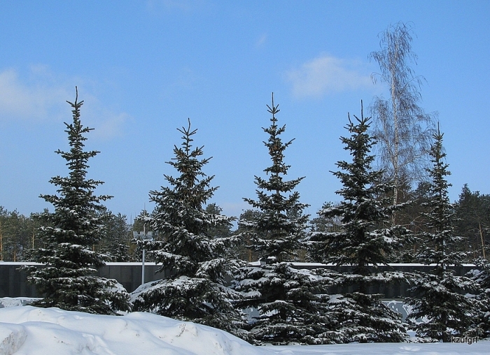  2010. 