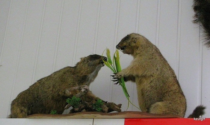 ������� 2010. 