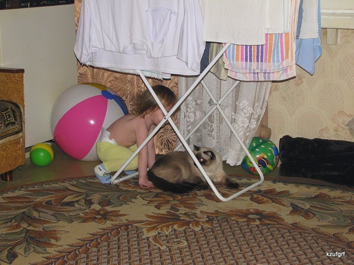 ������� 2010. 