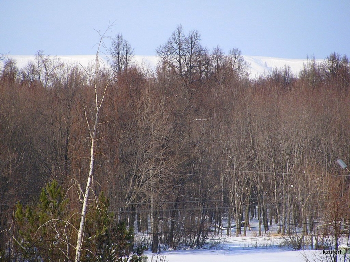 ������� 2010. 