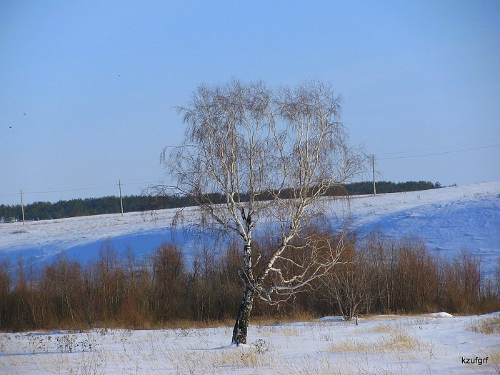������� 2010. 