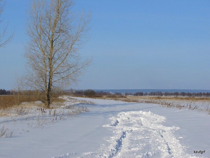 ������� 2010. 