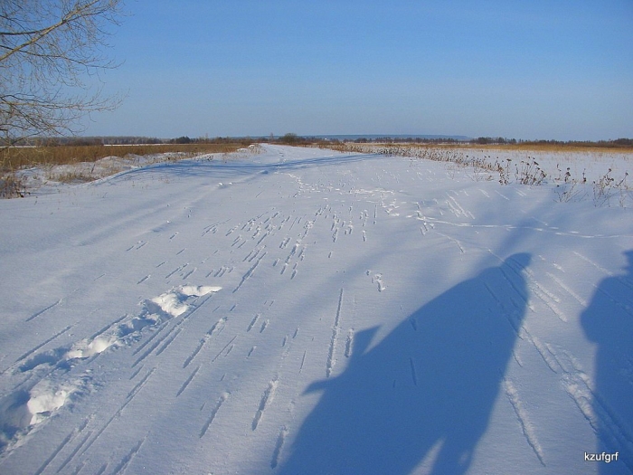 ������� 2010. 