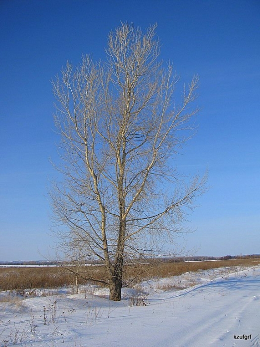 ������� 2010. 
