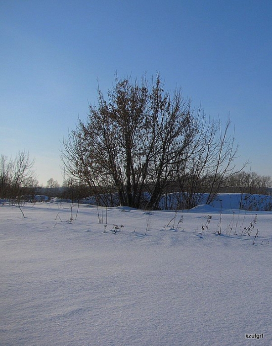 ������� 2010. 