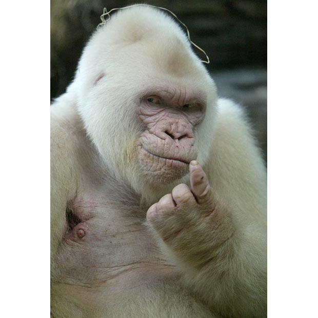   -.