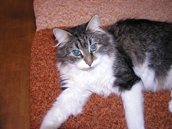    ?  , .    .     -  !