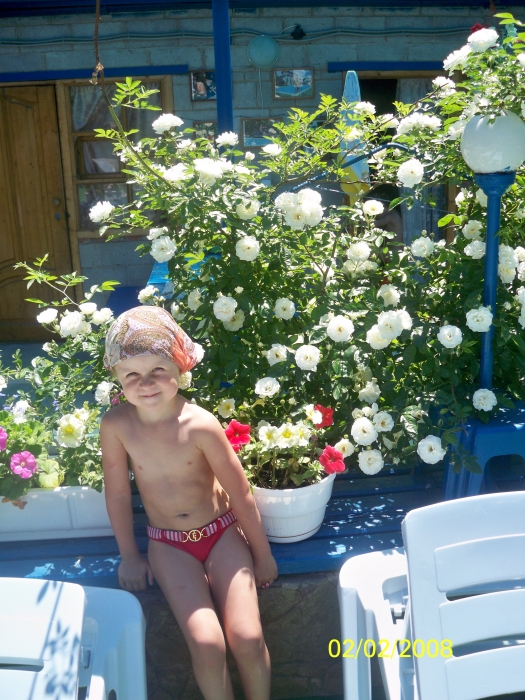 ���� 2010 