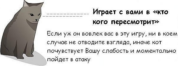 ��� ������, ��� ��� ��� ���������� ��� �����? 