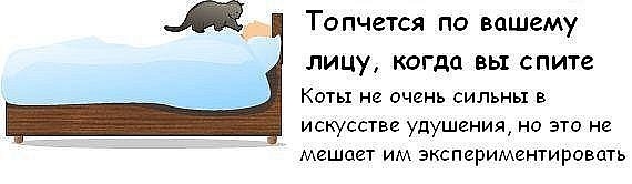 ��� ������, ��� ��� ��� ���������� ��� �����? 