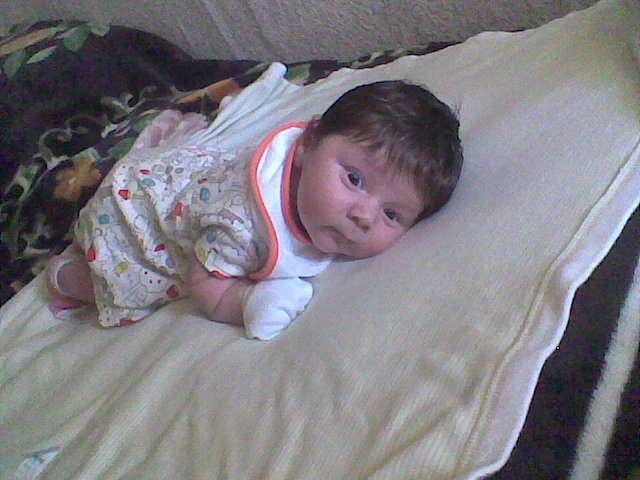 ������������� 