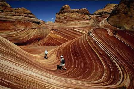       (The Wave), 