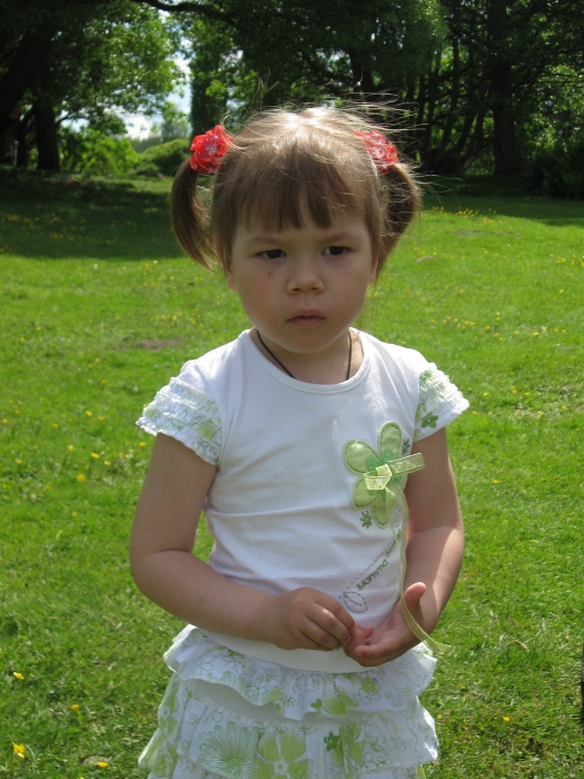  2009 