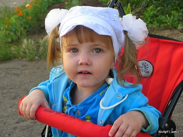 ,...-2010. 