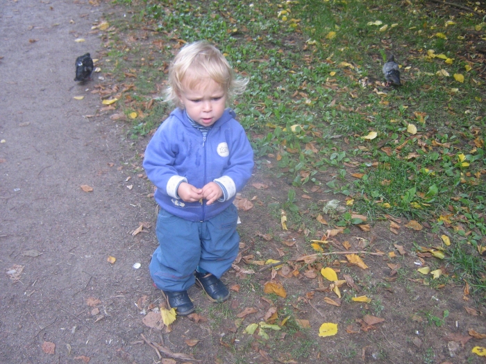  2010 