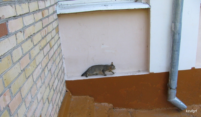 1 �������� 2009�. 