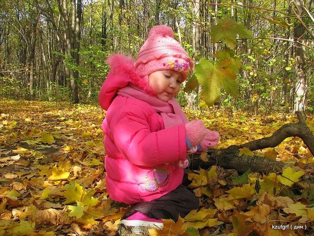 ...( 2010.) 