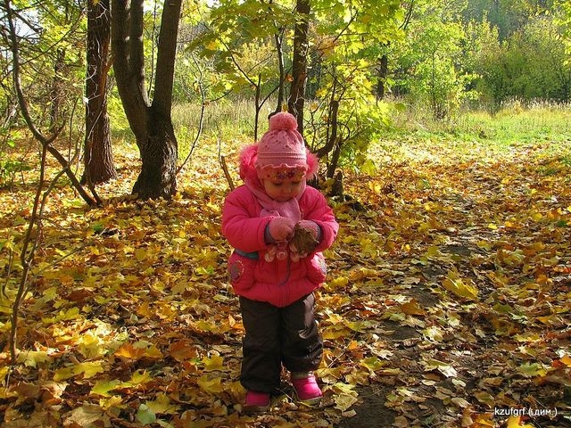 ...( 2010.) 