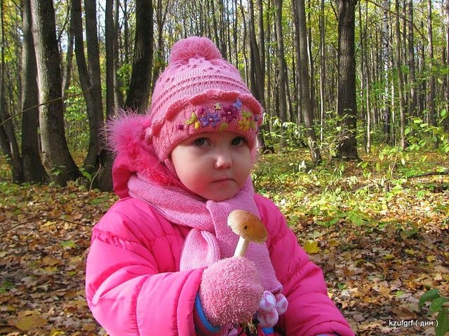 ...( 2010.) 