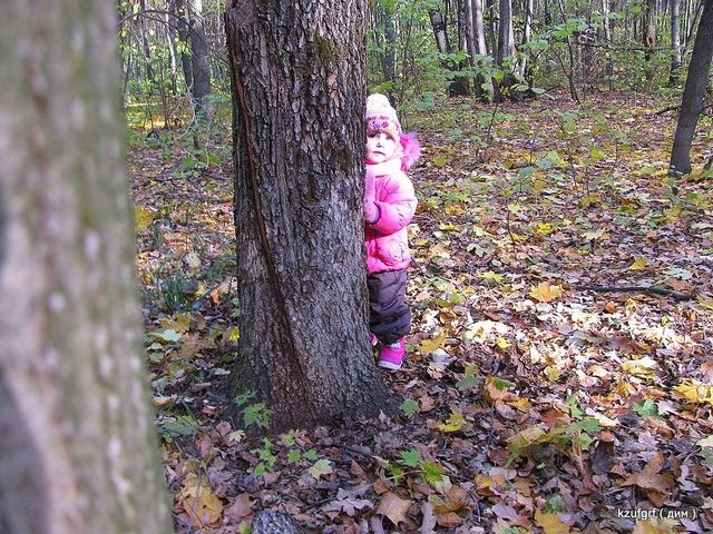 ...( 2010.) 