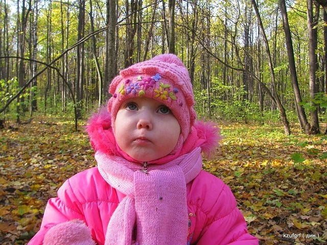 ...( 2010.) 