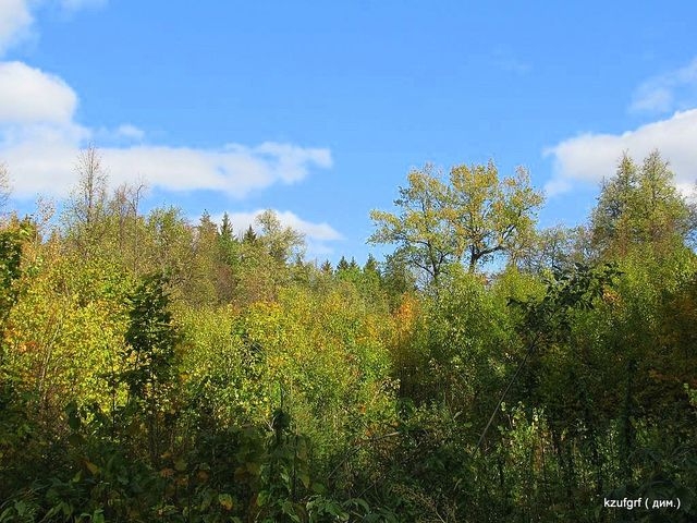 ������:...(������� 2010�.) 