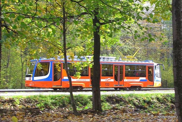 ������:...(������� 2010�.) 