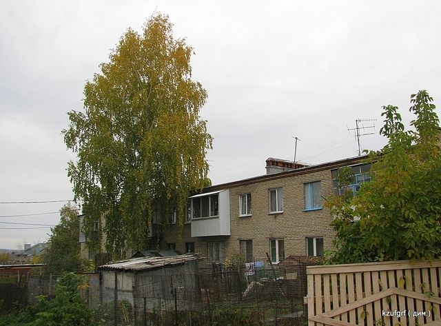 ������:...(������� 2010�.) 