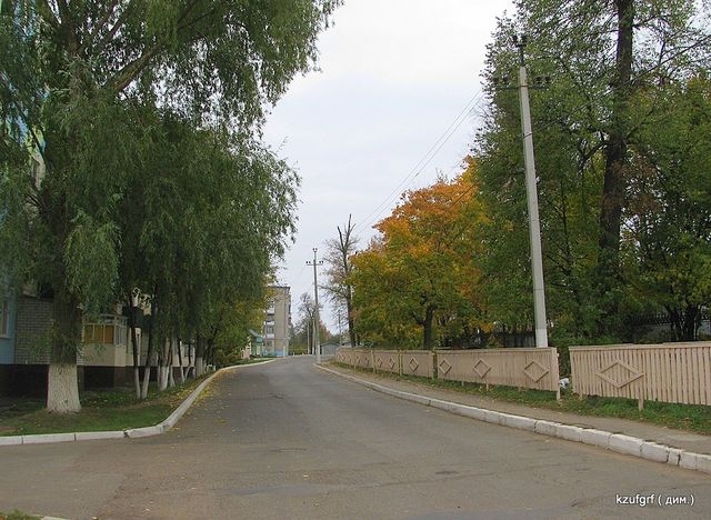 ������:...(������� 2010�.) 