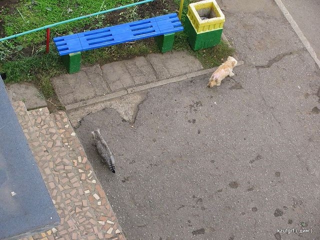 ������:...(������� 2010�.) 