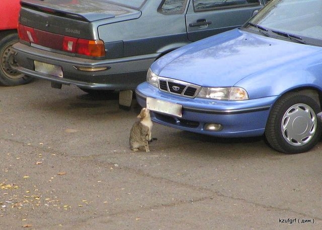 ������:...(������� 2010�.) 