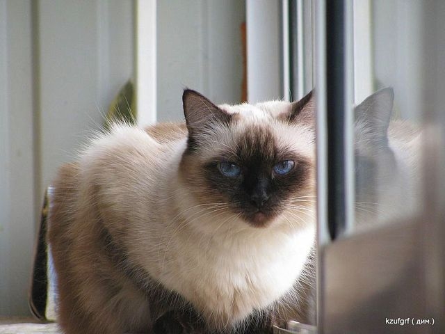 ������:...(������� 2010�.) 