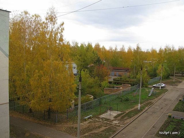 ������:...(������� 2010�.) 