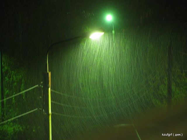 ������:...(������� 2010�.) 