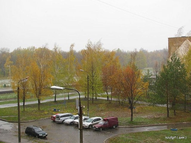 ������:...(������� 2010�.) 