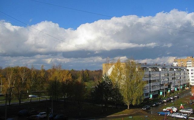 ������:...(������� 2010�.) 