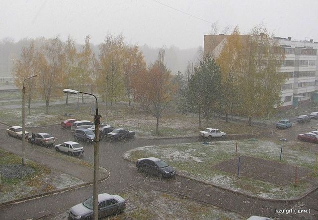 ������:...(������� 2010�.) 