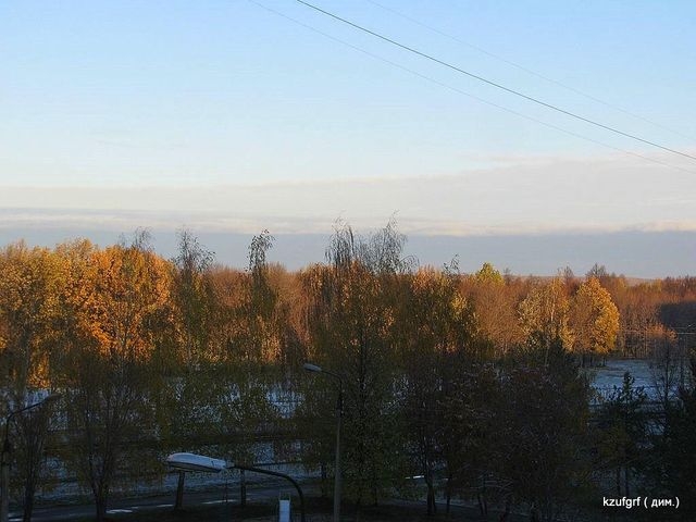 ������:...(������� 2010�.) 