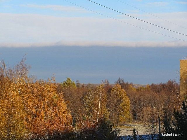 ������:...(������� 2010�.) 