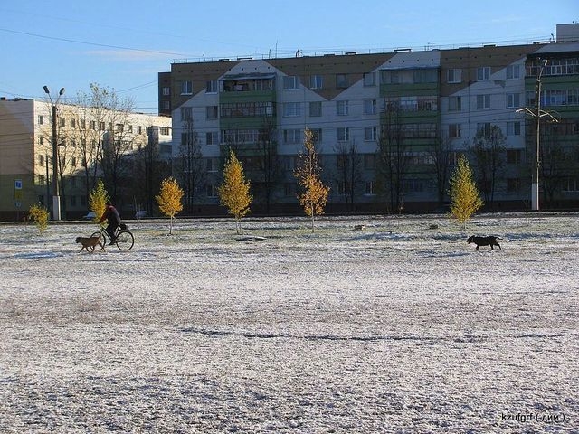������:...(������� 2010�.) 