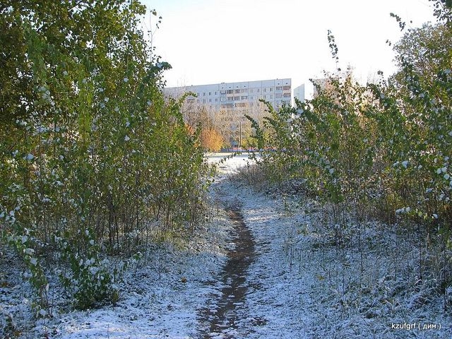 ������:...(������� 2010�.) 