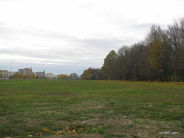 ������:...(������� 2010�.) 