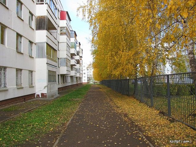 ������:...(������� 2010�.) 
