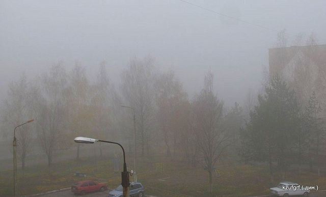 ������:...(������� 2010�.) 